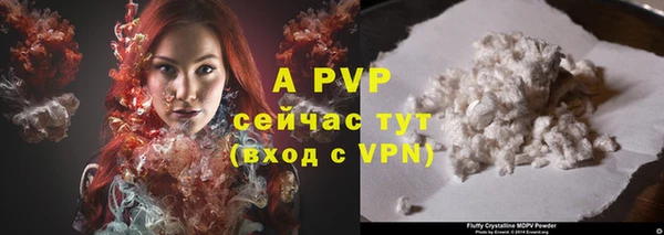 гидра Алексеевка