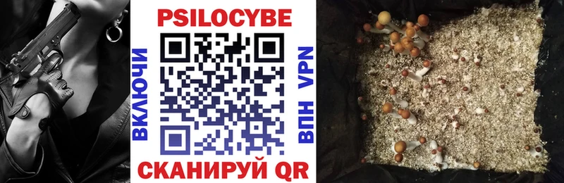 Псилоцибиновые грибы прущие грибы  где найти   Омск 